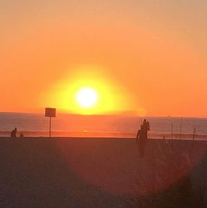 Meet your Posher, Sasha